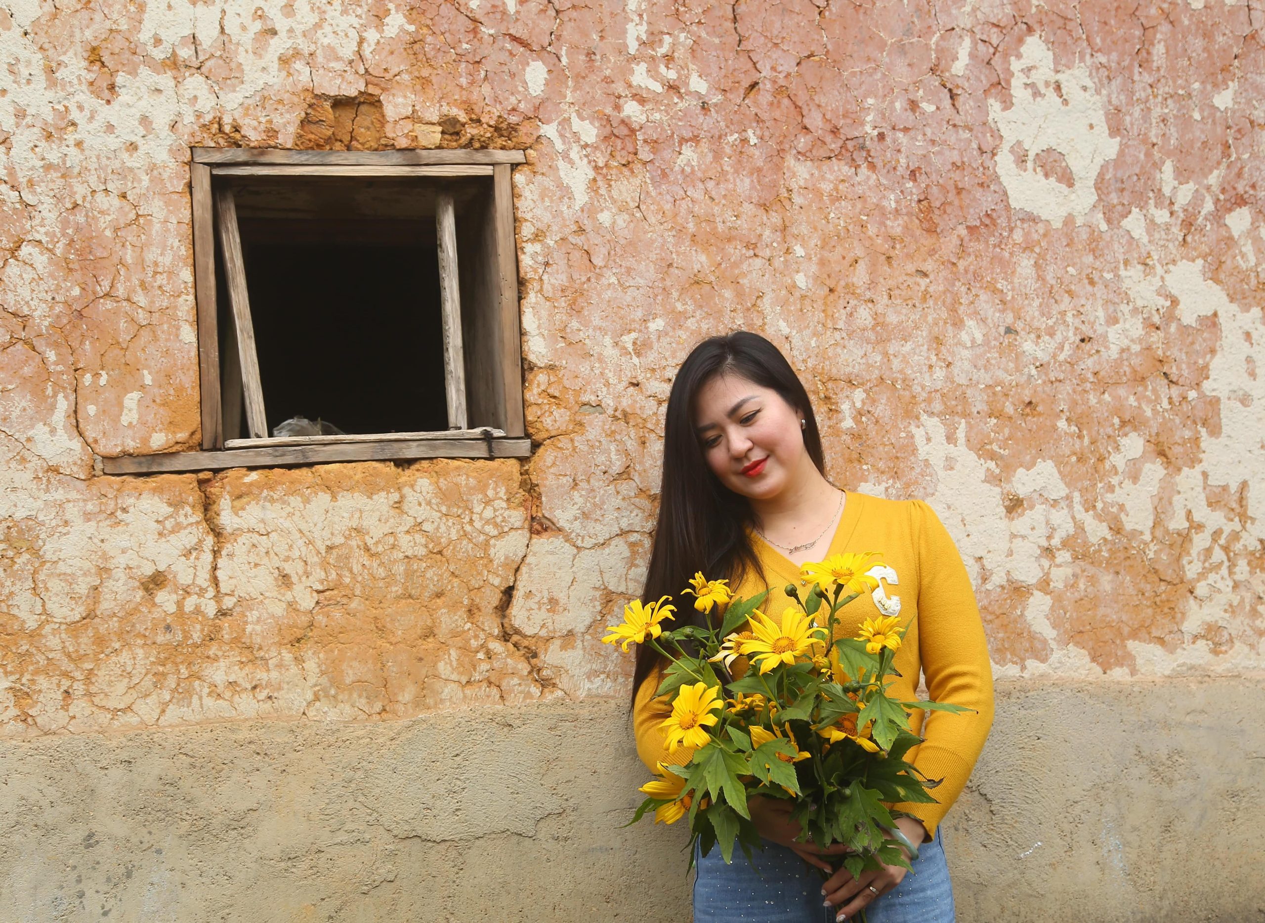 Cao-nguyen-Y-Ty-nha_trinh_tuong